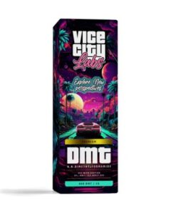 Vice City Labs