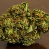 alaskan thunder strain