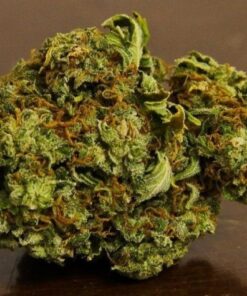 alaskan thunder strain
