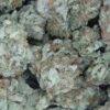 white widow strain